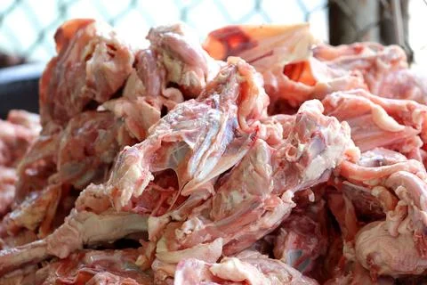 Chicken carcass Stock Photos