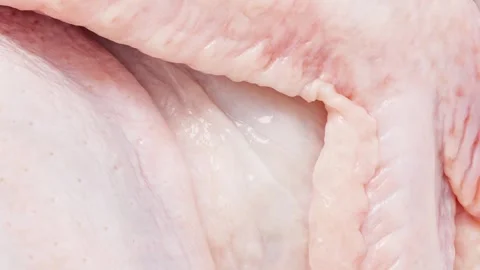 Chicken carcass raw wing close-up pink skin diet meat, rotating Vidéo 240653800