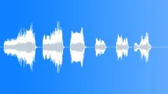 Chicken cluck 04 Sound Effect