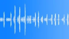 Chicken clucking Sound Effect