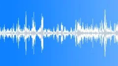 Chicken clucking Sound Effect