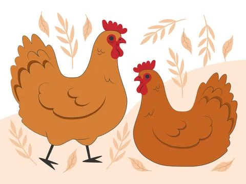 Chicken Concept Illustration Stock Illustration