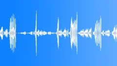 Chicken Coop 1Sound Effect