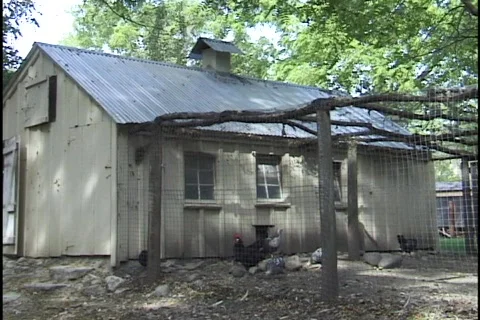 Chicken Coop Stock Footage 297070