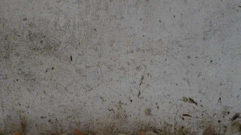 Chicken coop Video stock 36539502