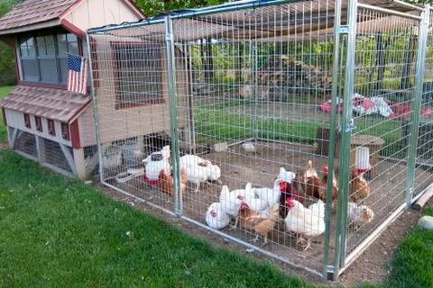 Chicken coop Stock Photos