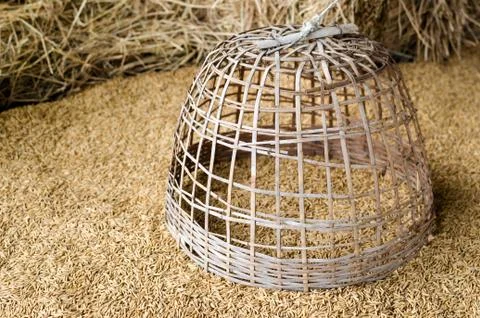 Chicken coop Stock Photos