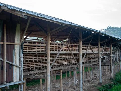 Chicken coops Stock Photos