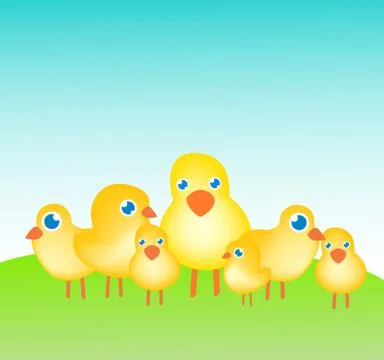 Chicken cubs 스톡 일러스트