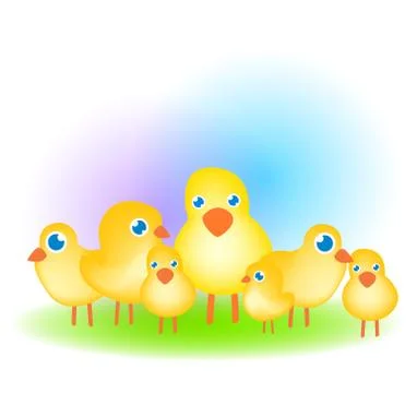 Chicken cubs Stock Illustration