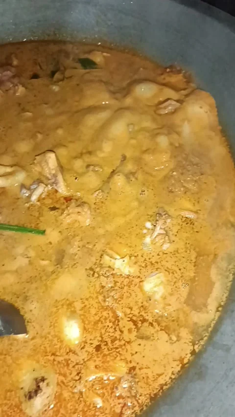 Chicken curry 動画素材 220552310