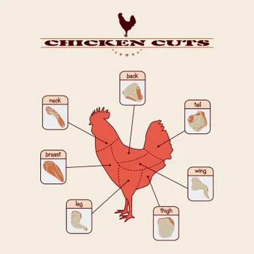 Chicken cuts Stock Illustration