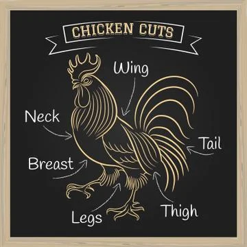 Chicken Cuts Illustration Stock Illustration