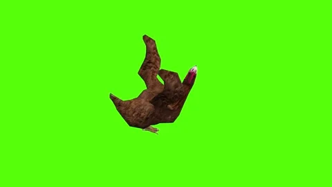 Chicken Death Green Screen Animation 4k Rendering Stock Footage 296971273