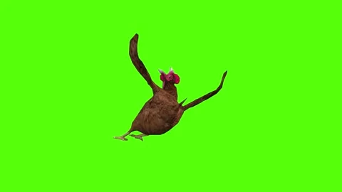 Chicken Death Green Screen Animation 4k Rendering Stock Footage 296971287