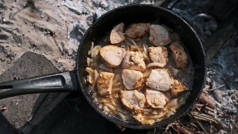 Chicken Dinner Over Campfire Stock Footage 284622263