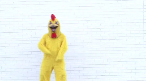 Chicken doing Dance on Brick background Stock-Footage 446142