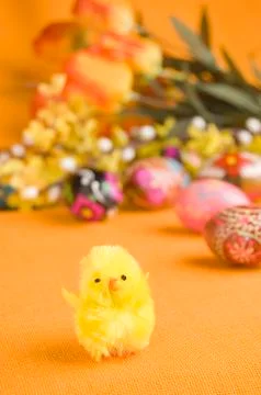 Chicken on easter egg Stock Photos