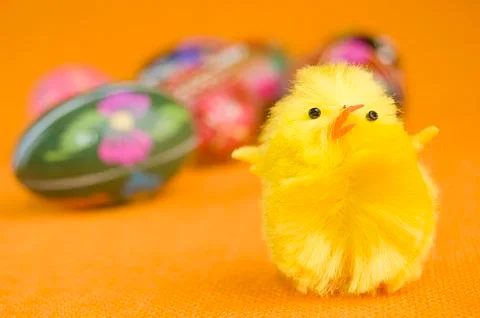 Chicken on easter egg Stock Photos