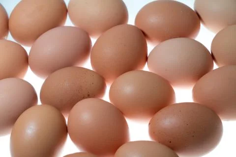 Chicken egg background Stock Photos