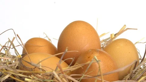 Chicken Egg in Basket Stock Footage 90768408
