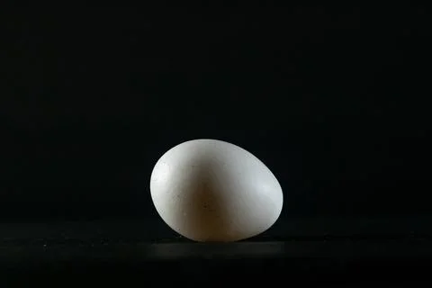 Chicken egg on black background Stock Photos