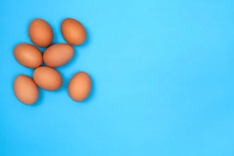 Chicken egg on blue background with space for copy. Stock Photos