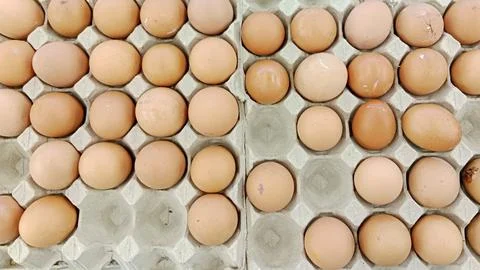 Chicken egg box Stock Photos