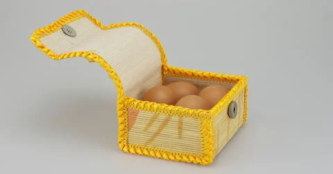 Chicken egg in box time lapse Stock Footage 63925024