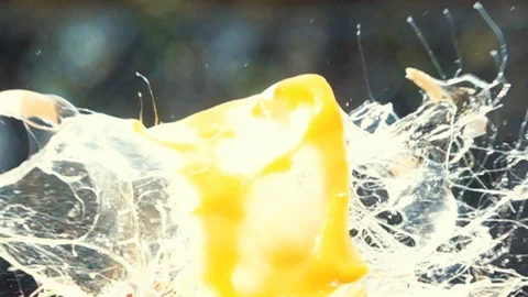 Chicken egg breaks from a bullet shot Stock Footage 120108012