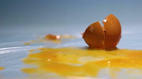 A chicken egg breaks from falling onto a table. Stock Footage 157327425