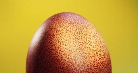 Chicken egg of brown color on a light background, rotates. A fresh egg shot with Stock Footage 155288261