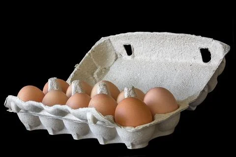 Chicken egg in cardboard packaging isolate Stock Photos