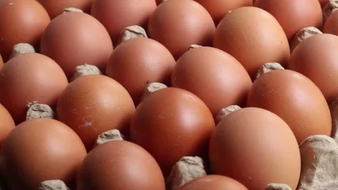 Chicken egg on carton package Stock Footage 292740868