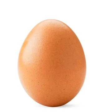 Chicken egg closeup on a white. Isolated. Stock Photos
