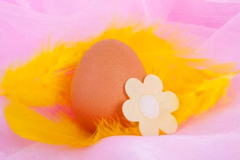 Chicken egg decorated for easter Stock-Fotos