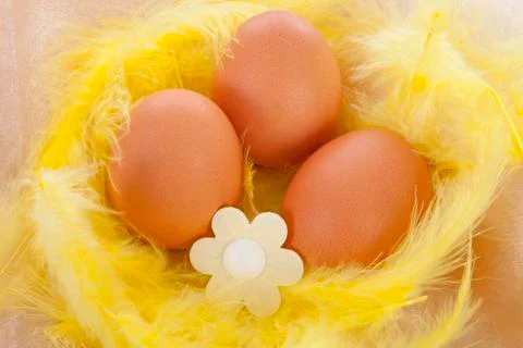 Chicken egg decorated for easter in yellow feathers Stock Photos