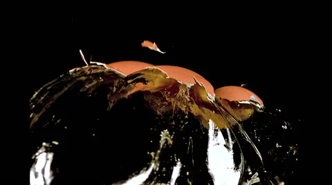 Chicken Egg Exploding against Black background, Slow motion Stock Footage 67759242
