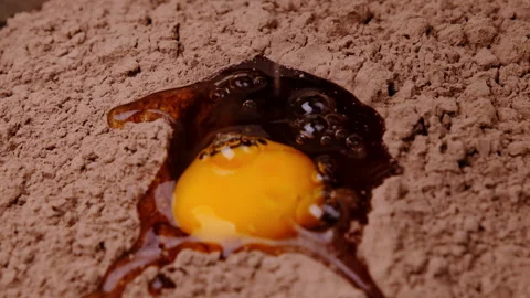 Chicken egg falls in slow motion into cocoa flour close-up. Making brownies cake Stock Footage 219995569