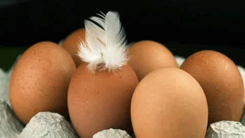 Chicken egg with a feather from a bird on a black background, Easter egg, Video stock 234445768