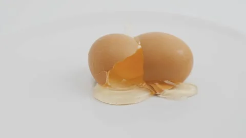 Chicken egg Stock Footage 131210843