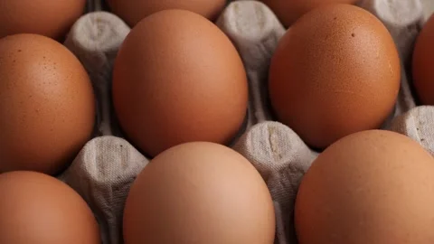 Chicken egg Stock Footage 252984733
