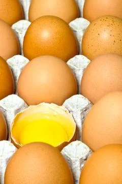Chicken egg is half broken among other eggs Vertical frame. Stock Photos