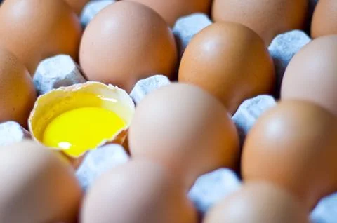 Chicken egg is half broken among other eggs. Stock Photos