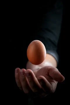 Chicken egg in the hand. Stock-Fotos