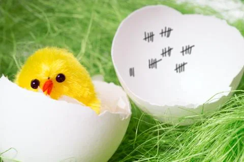 Chicken egg Stock-Illustration