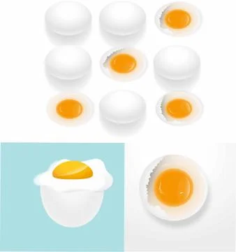 Chicken egg Stock Illustration