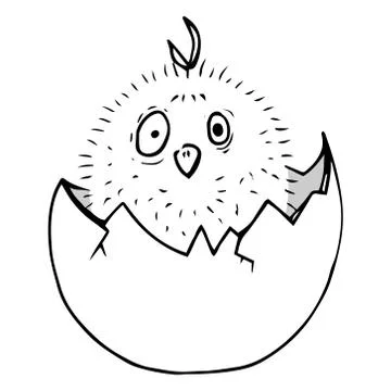 Chicken in the egg. Stock Illustration