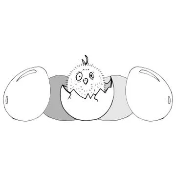 Chicken in the egg. Stock Illustration