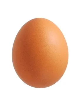Chicken egg isolated Stock Photos